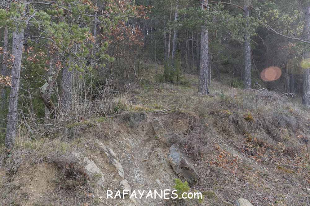 Ruta: Puig de la Batalla (1052 m.) Ruta: Puig de la Batalla (1052 m.)