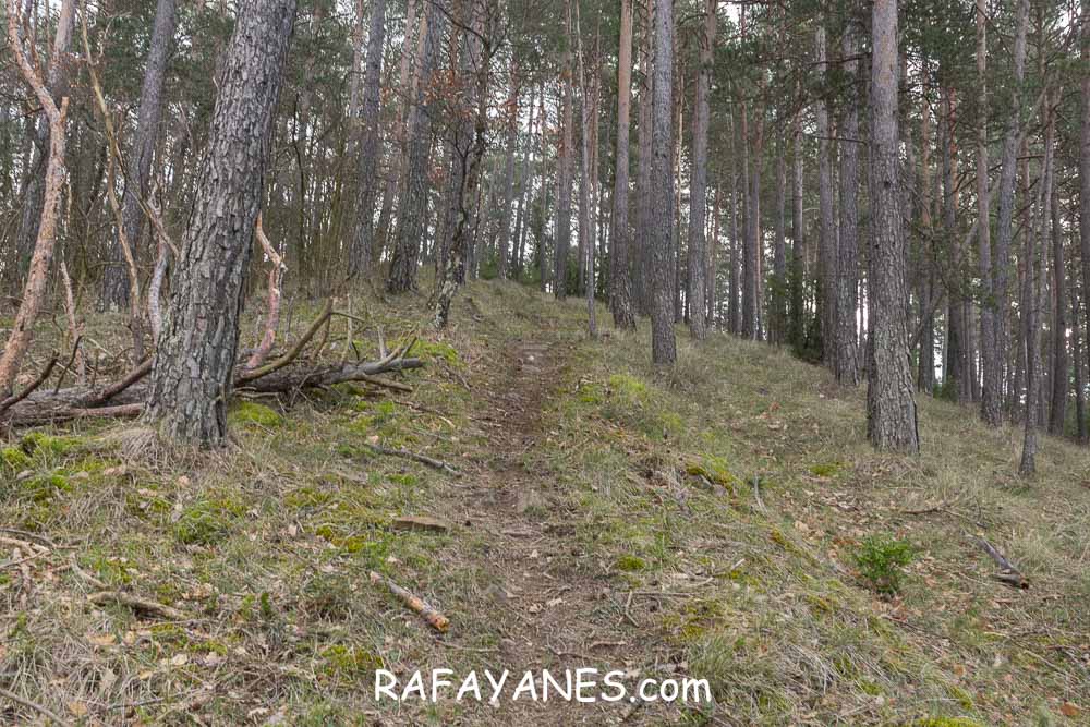 Ruta: Puig de la Batalla (1052 m.) Ruta: Puig de la Batalla (1052 m.)