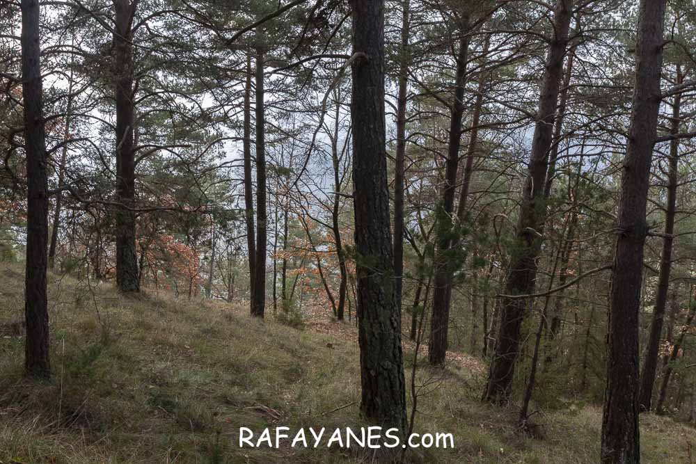 Ruta: Puig de la Batalla (1052 m.) Ruta: Puig de la Batalla (1052 m.)