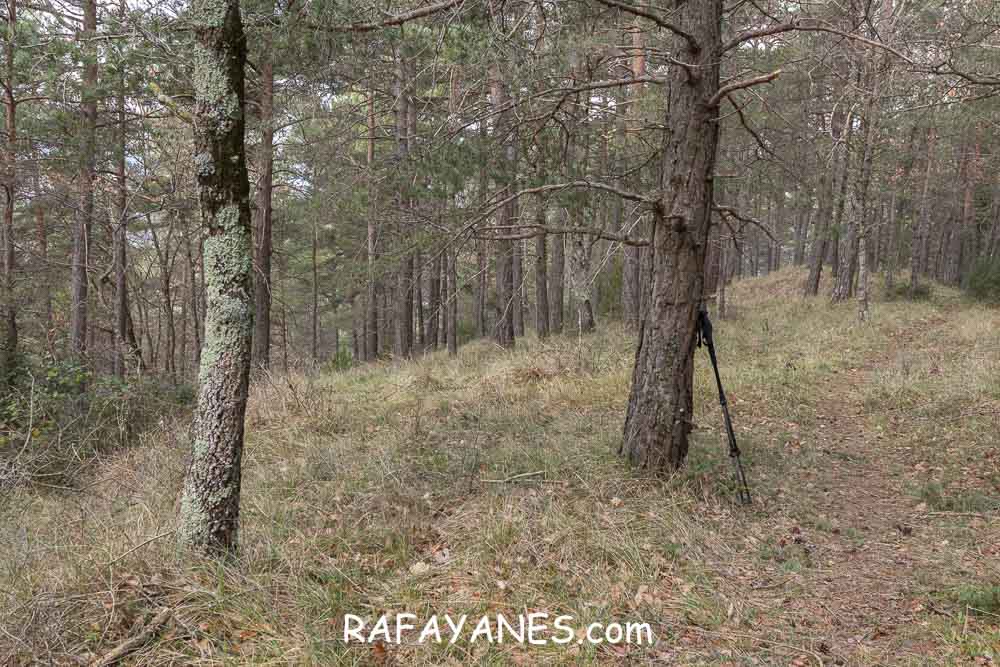Ruta: Puig de la Batalla (1052 m.) Ruta: Puig de la Batalla (1052 m.)
