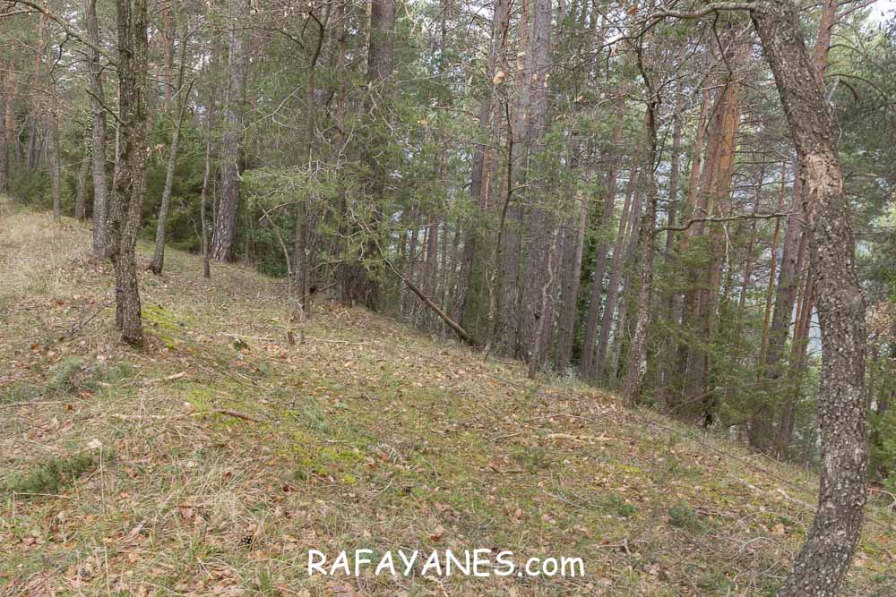 Ruta: Puig de la Batalla (1052 m.) Ruta: Puig de la Batalla (1052 m.)