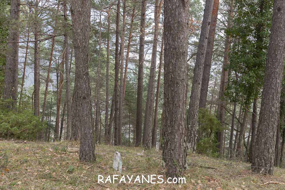 Ruta: Puig de la Batalla (1052 m.) Ruta: Puig de la Batalla (1052 m.)