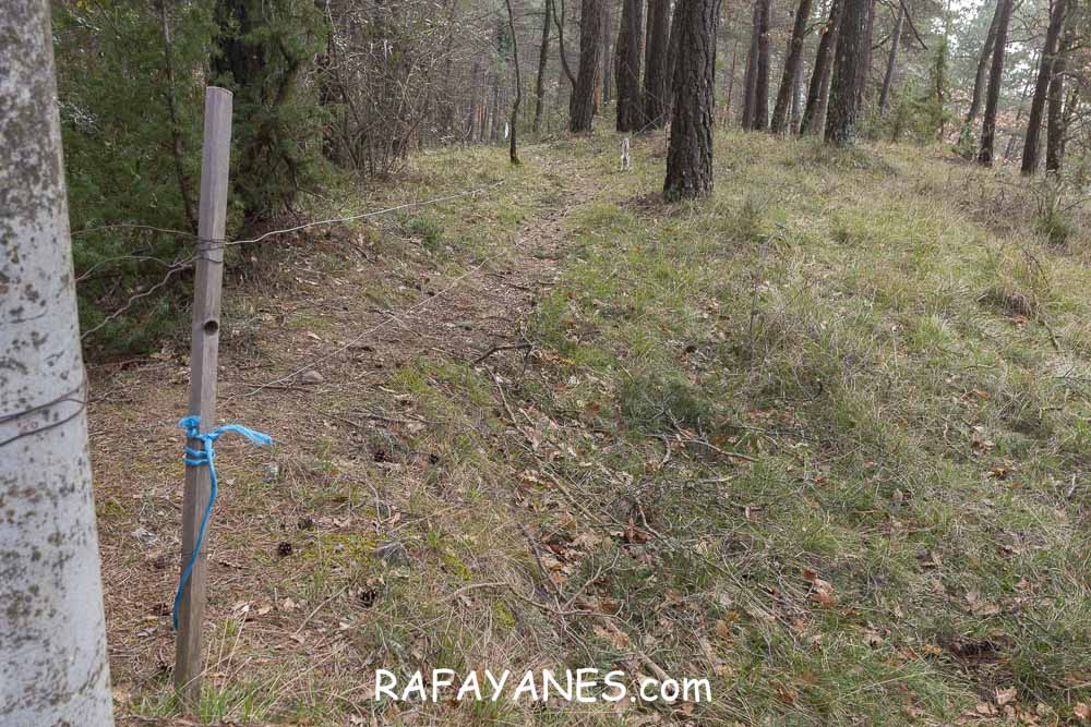 Ruta: Puig de la Batalla (1052 m.) Ruta: Puig de la Batalla (1052 m.)