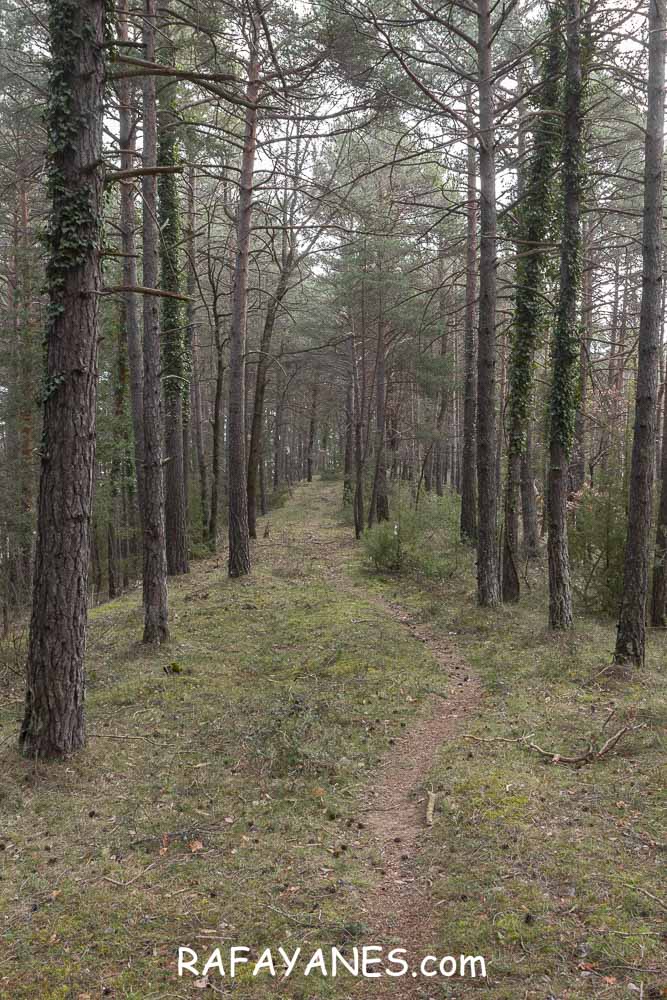 Ruta: Puig de la Batalla (1052 m.) Ruta: Puig de la Batalla (1052 m.)