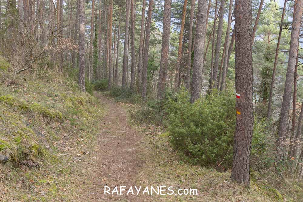 Ruta: Puig de la Batalla (1052 m.) Ruta: Puig de la Batalla (1052 m.)