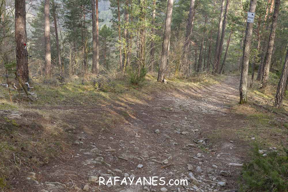 Ruta: Puig de la Batalla (1052 m.) Ruta: Puig de la Batalla (1052 m.)