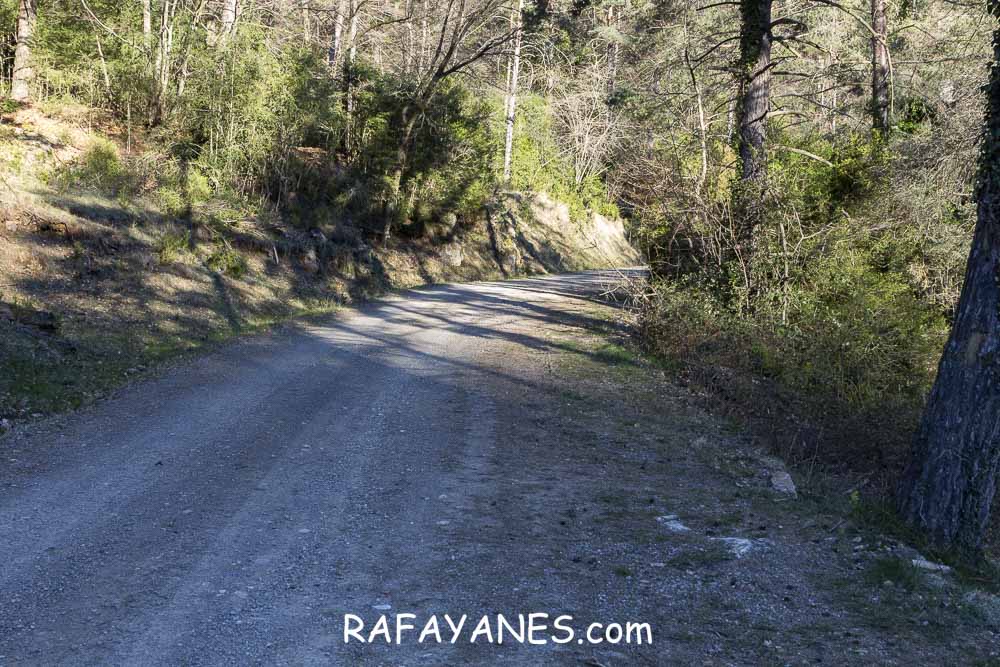 Ruta: El Pedró (1764 m.) Ruta: El Pedró (1764 m.)