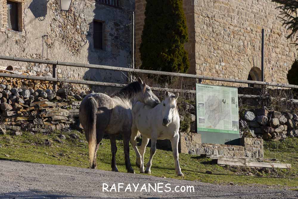 Ruta: El Pedró (1764 m.) Ruta: El Pedró (1764 m.)