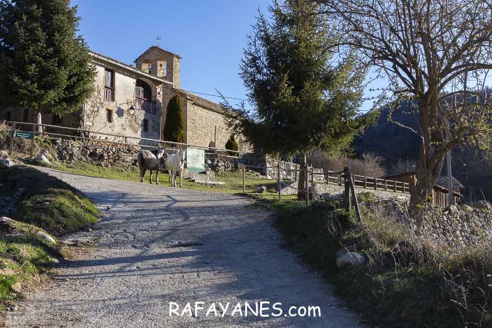 Ruta: El Pedró (1764 m.) Ruta: El Pedró (1764 m.)