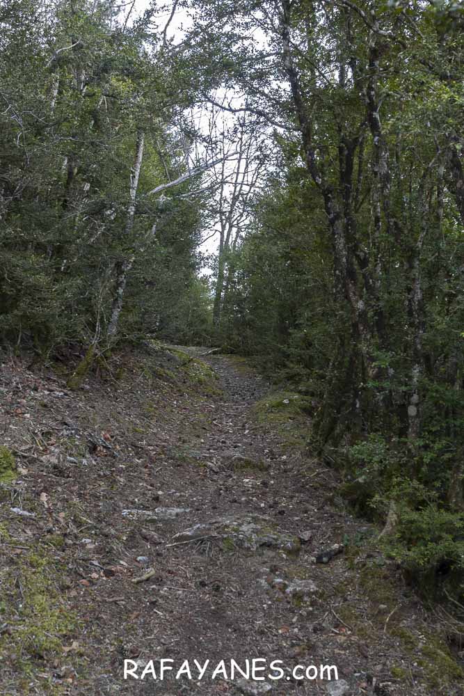 Ruta: El Pedró (1764 m.) Ruta: El Pedró (1764 m.)