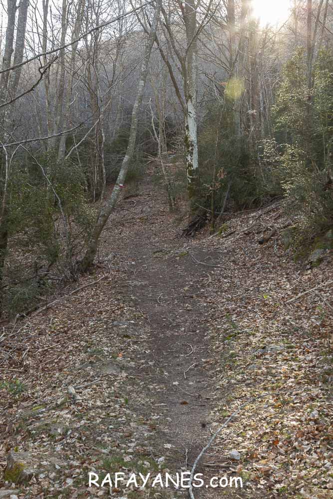 Ruta: El Pedró (1764 m.) Ruta: El Pedró (1764 m.)