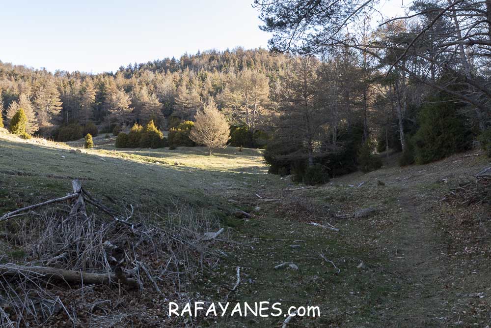 Ruta: El Pedró (1764 m.) Ruta: El Pedró (1764 m.)