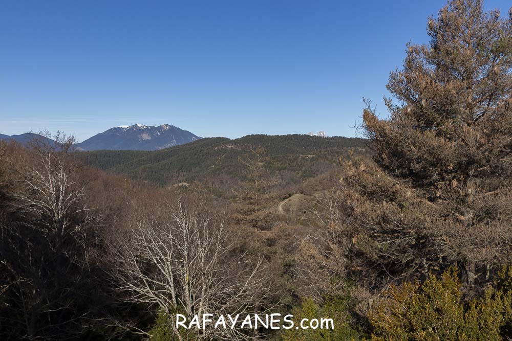 Ruta: El Pedró (1764 m.) Ruta: El Pedró (1764 m.)