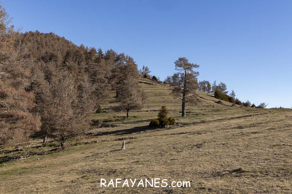 Ruta: El Pedró (1764 m.) Ruta: El Pedró (1764 m.)