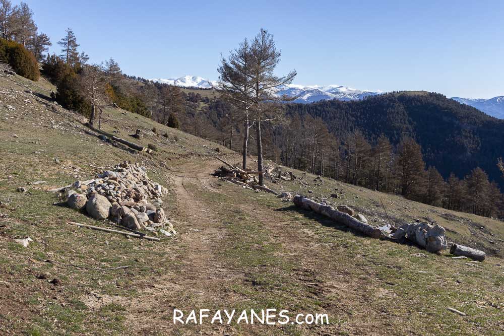 Ruta: El Pedró (1764 m.) Ruta: El Pedró (1764 m.)
