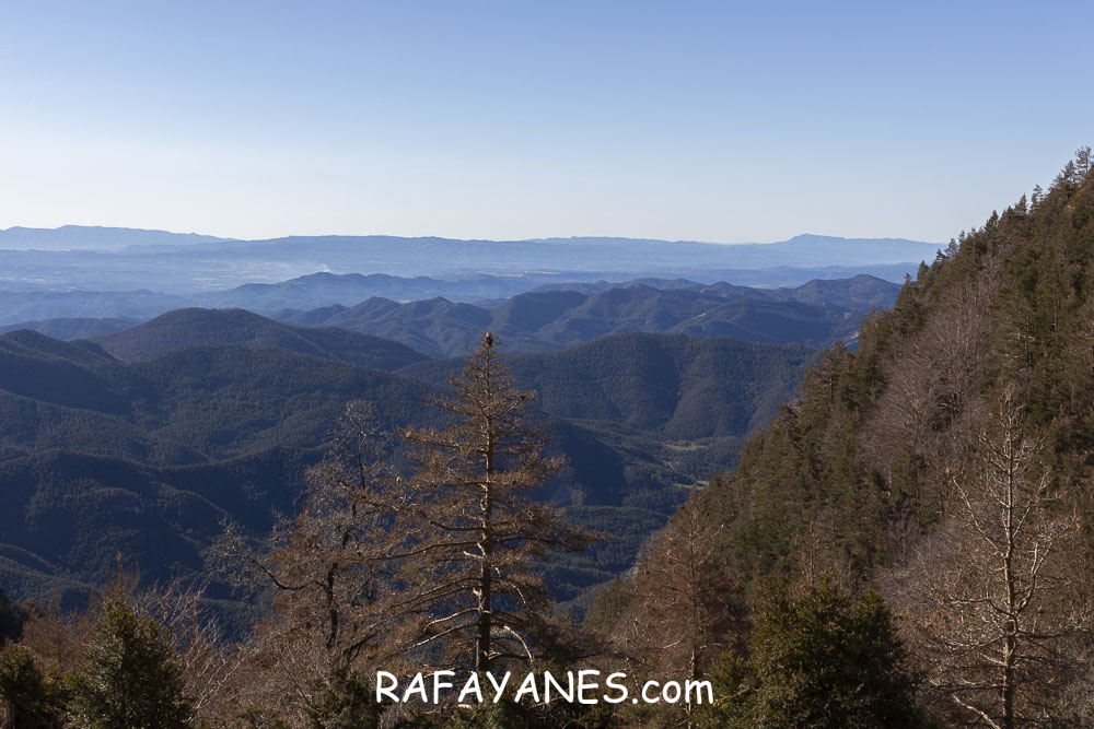 Ruta: El Pedró (1764 m.) Ruta: El Pedró (1764 m.)