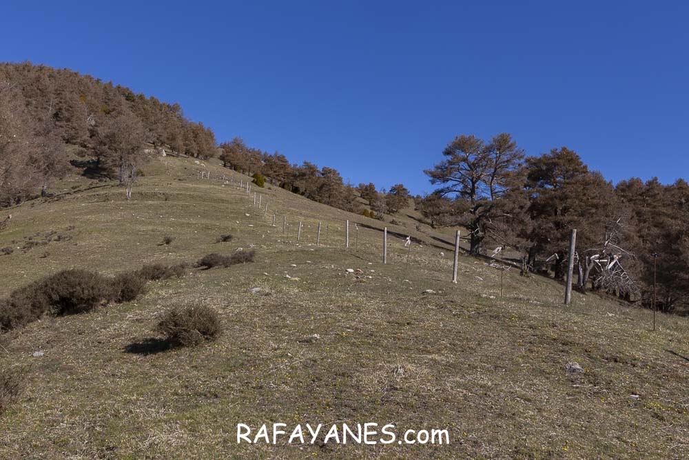 Ruta: El Pedró (1764 m.) Ruta: El Pedró (1764 m.)