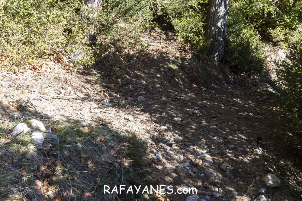 Ruta: El Pedró (1764 m.) Ruta: El Pedró (1764 m.)