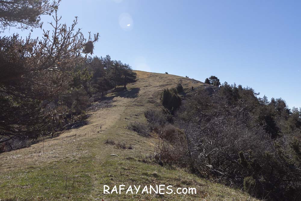 Ruta: El Pedró (1764 m.) Ruta: El Pedró (1764 m.)