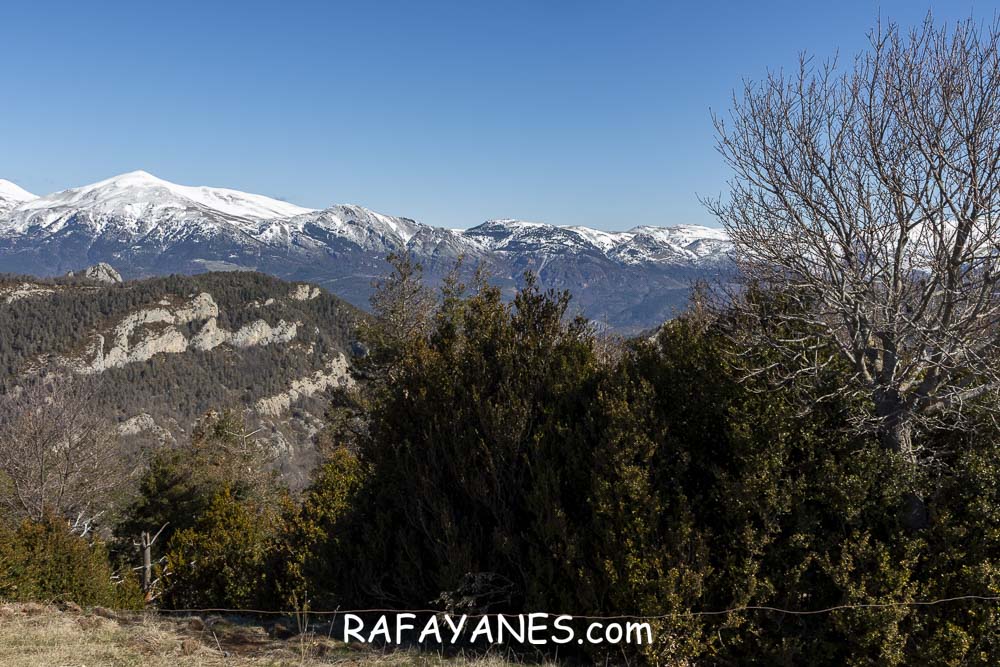 Ruta: El Pedró (1764 m.) Ruta: El Pedró (1764 m.)