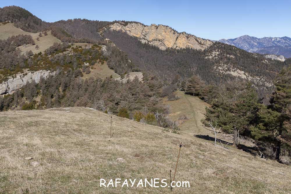 Ruta: El Pedró (1764 m.) Ruta: El Pedró (1764 m.)