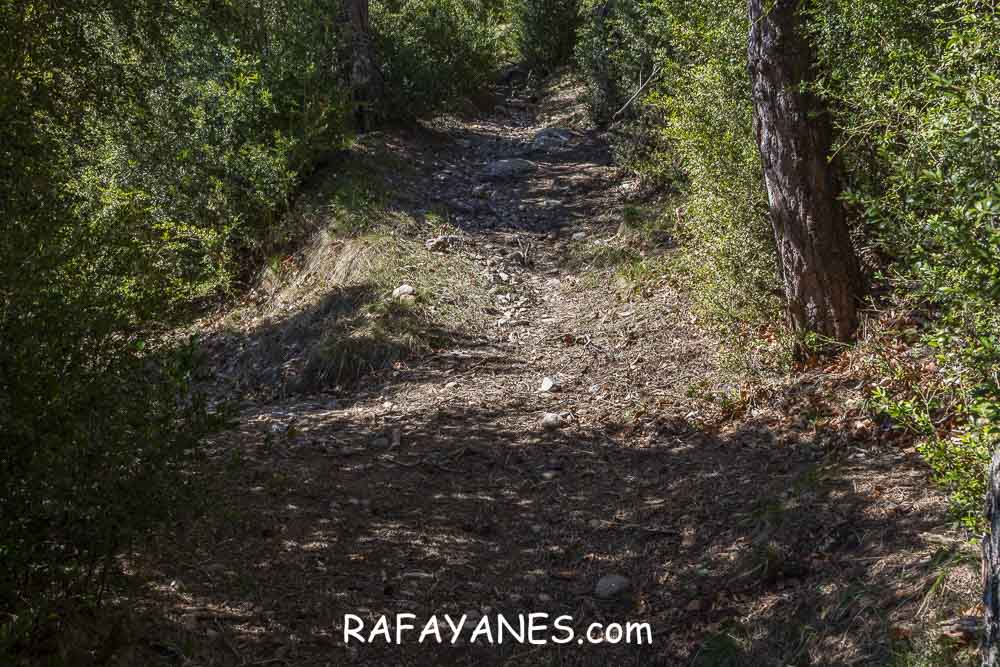 Ruta: El Pedró (1764 m.) Ruta: El Pedró (1764 m.)