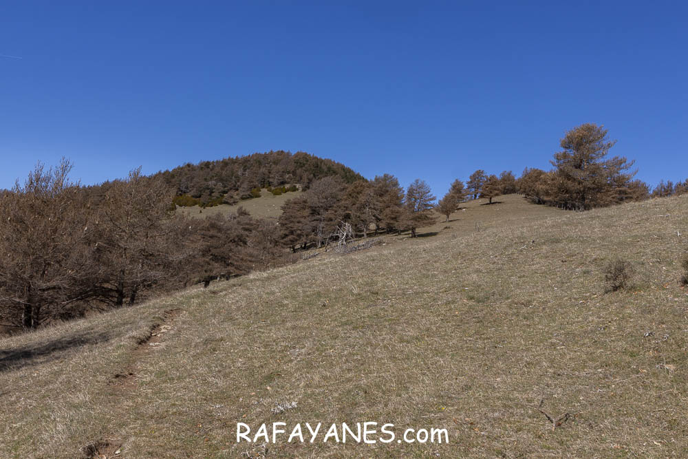 Ruta: El Pedró (1764 m.) Ruta: El Pedró (1764 m.)