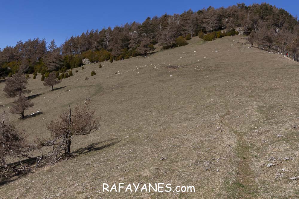 Ruta: El Pedró (1764 m.) Ruta: El Pedró (1764 m.)