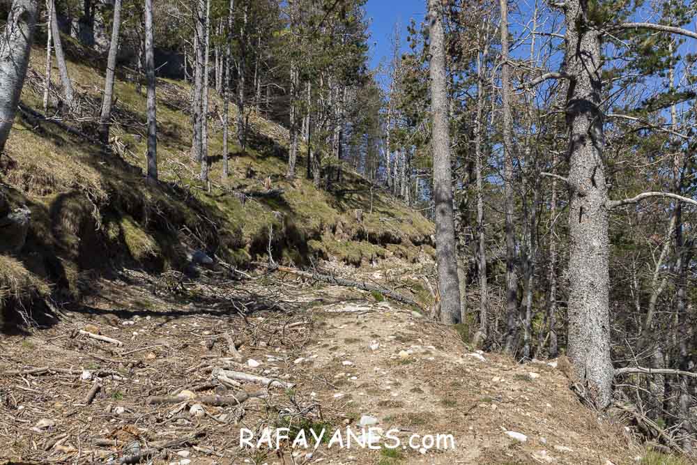 Ruta: El Pedró (1764 m.) Ruta: El Pedró (1764 m.)