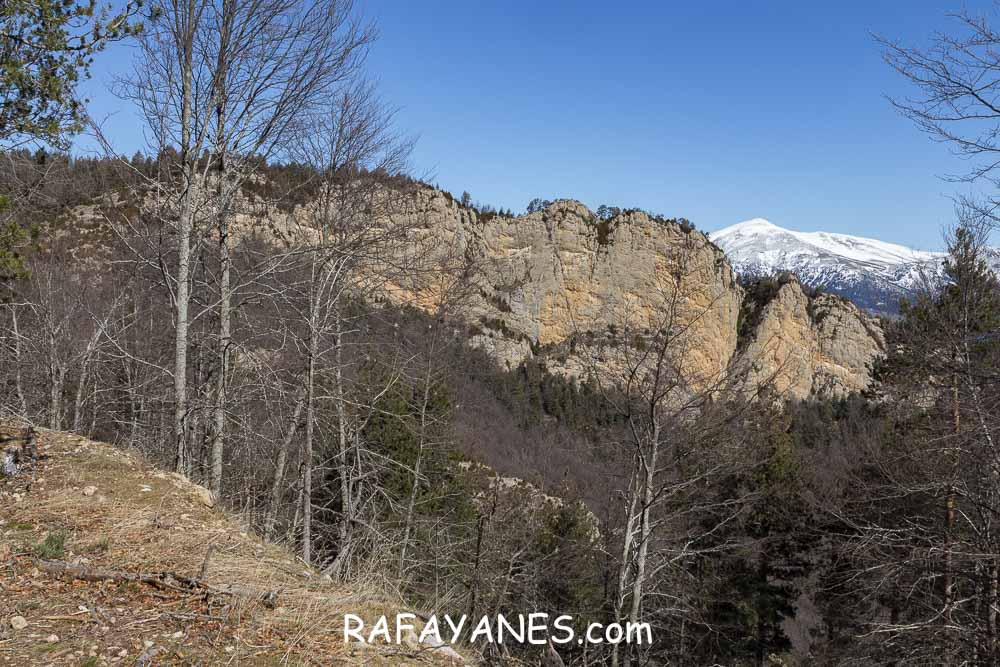 Ruta: El Pedró (1764 m.) Ruta: El Pedró (1764 m.)