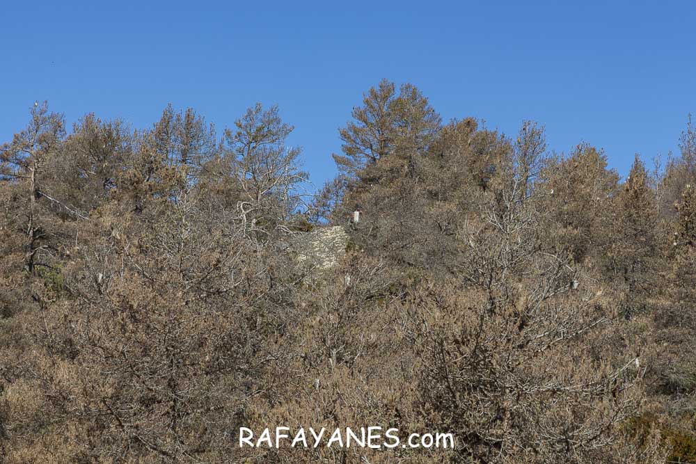Ruta: El Pedró (1764 m.) Ruta: El Pedró (1764 m.)