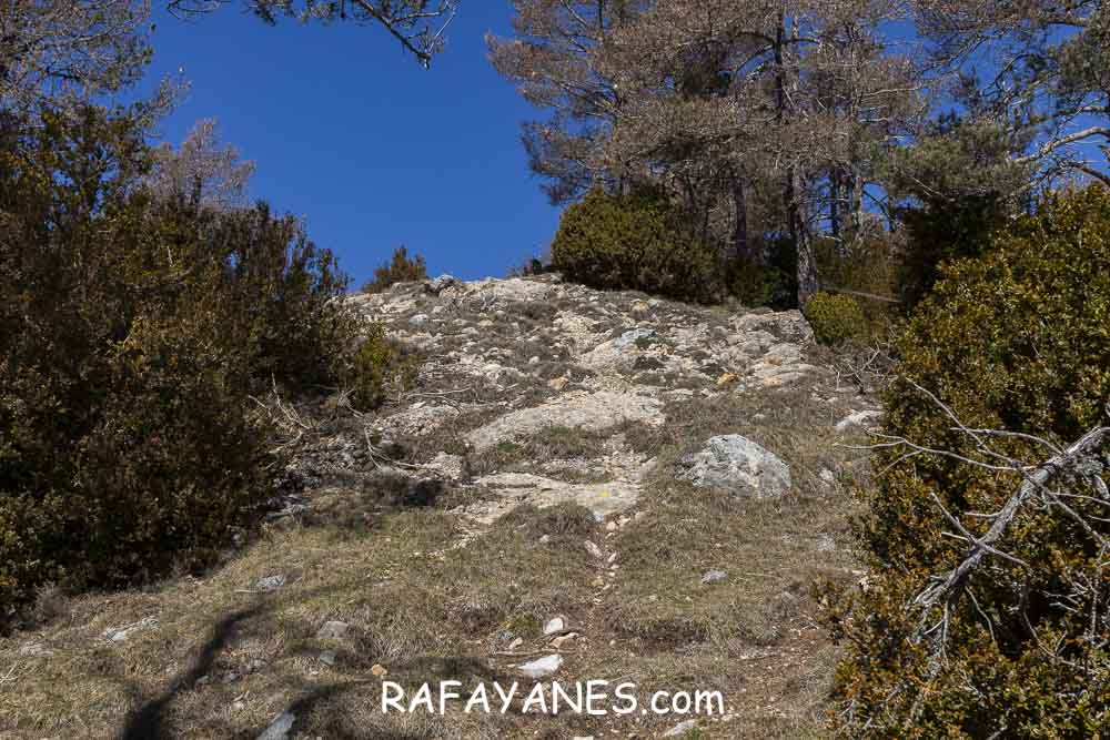 Ruta: El Pedró (1764 m.) Ruta: El Pedró (1764 m.)