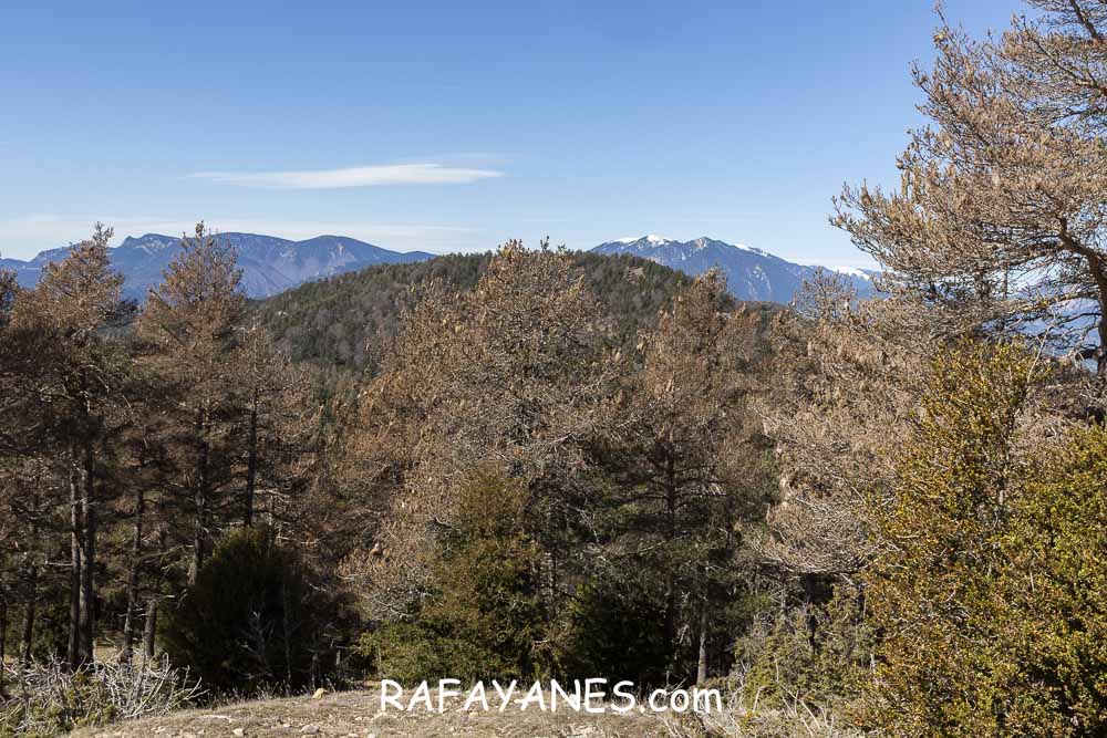 Ruta: El Pedró (1764 m.) Ruta: El Pedró (1764 m.)