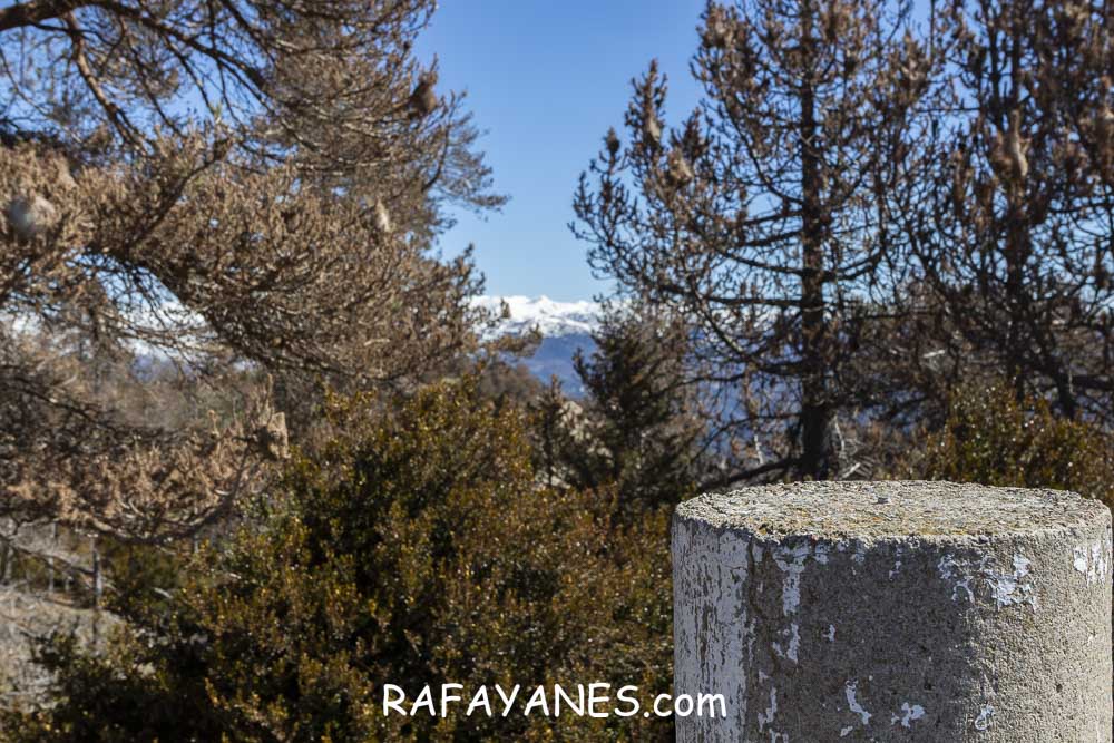Ruta: El Pedró (1764 m.) Ruta: El Pedró (1764 m.)