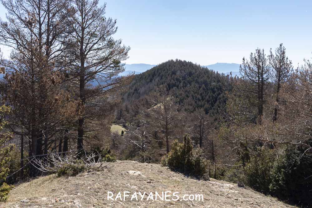 Ruta: El Pedró (1764 m.) Ruta: El Pedró (1764 m.)