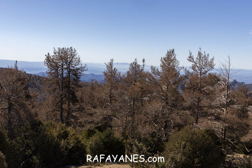Ruta: El Pedró (1764 m.) Ruta: El Pedró (1764 m.)