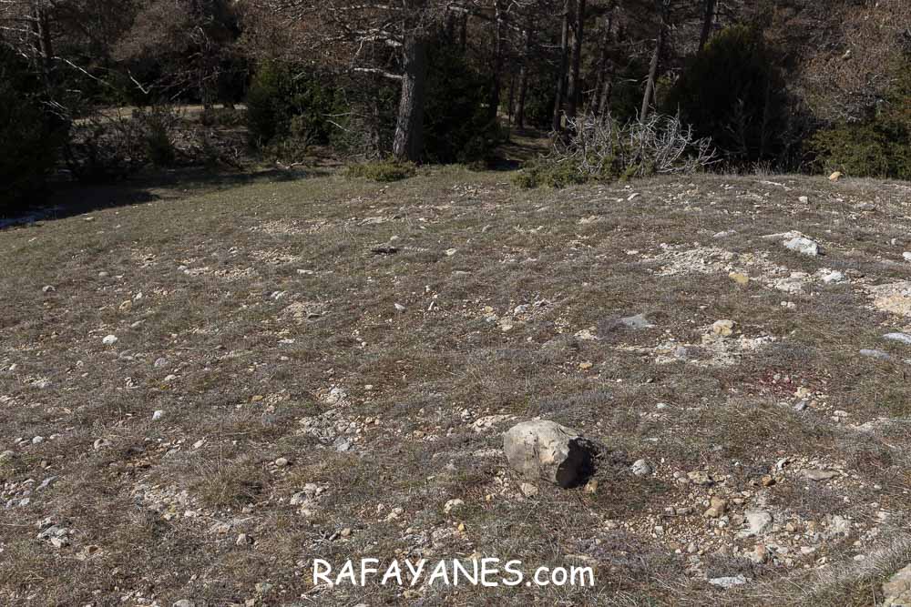 Ruta: El Pedró (1764 m.) Ruta: El Pedró (1764 m.)