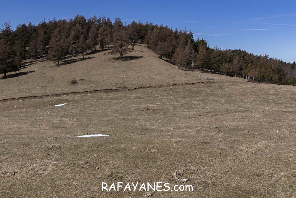 Ruta: El Pedró (1764 m.) Ruta: El Pedró (1764 m.)