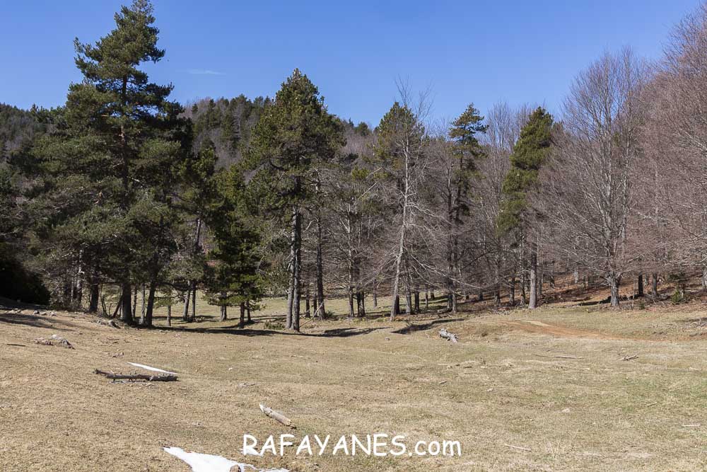 Ruta: El Pedró (1764 m.) Ruta: El Pedró (1764 m.)