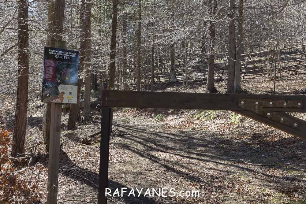 Ruta: El Pedró (1764 m.) Ruta: El Pedró (1764 m.)