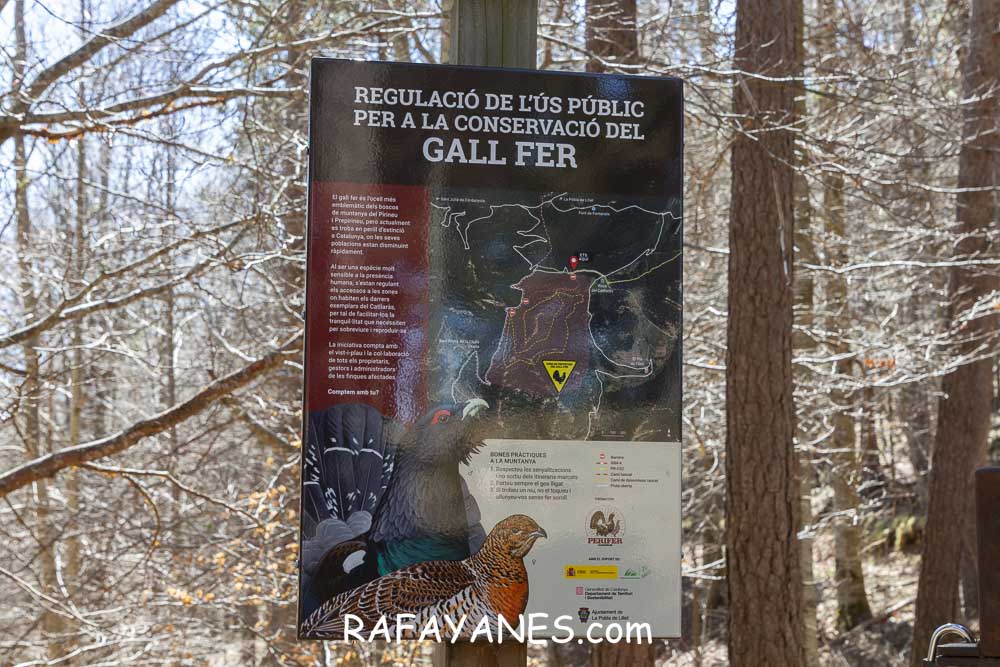 Ruta: El Pedró (1764 m.) Ruta: El Pedró (1764 m.)