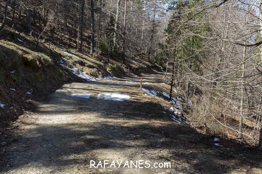 Ruta: El Pedró (1764 m.) Ruta: El Pedró (1764 m.)