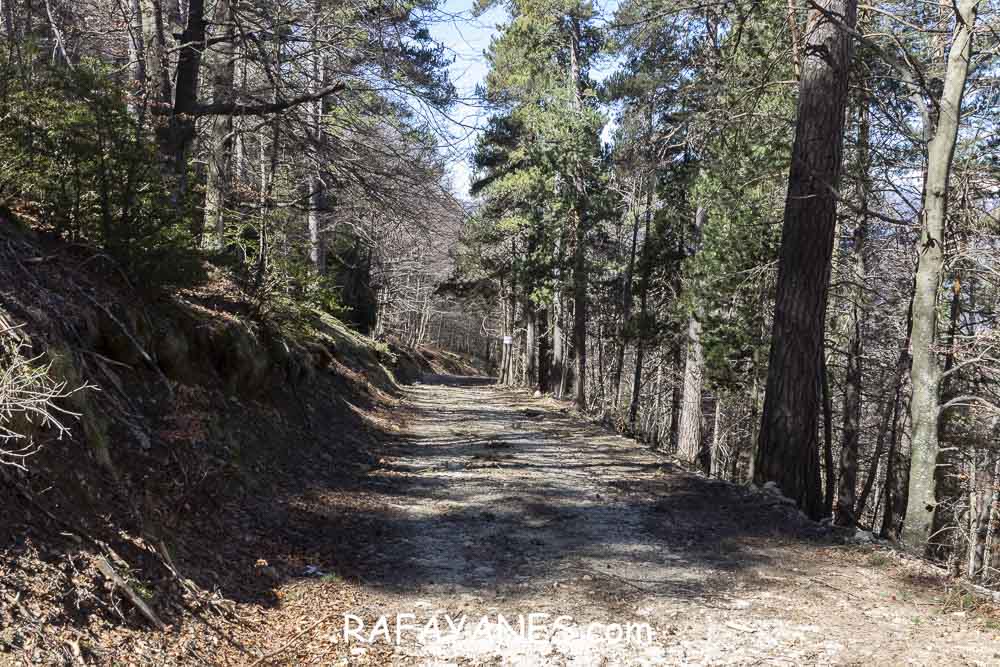 Ruta: El Pedró (1764 m.) Ruta: El Pedró (1764 m.)