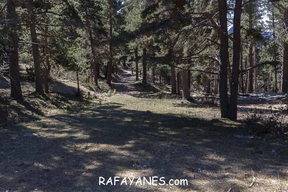 Ruta: El Pedró (1764 m.) Ruta: El Pedró (1764 m.)