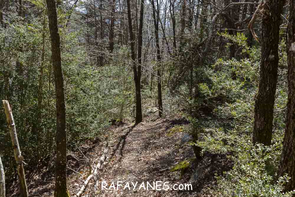 Ruta: El Pedró (1764 m.) Ruta: El Pedró (1764 m.)