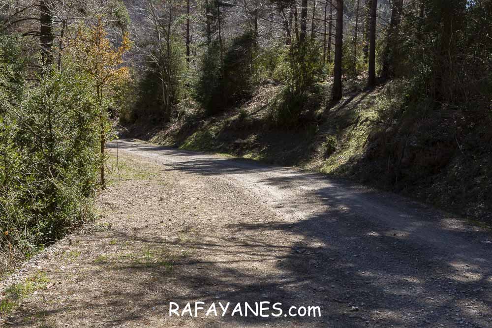 Ruta: El Pedró (1764 m.) Ruta: El Pedró (1764 m.)