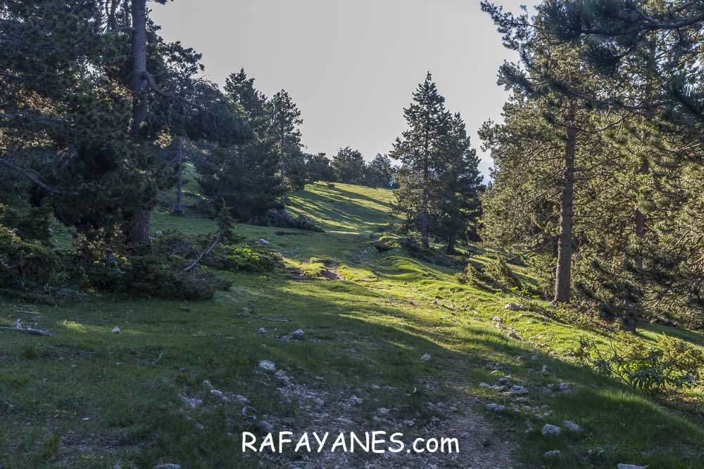 Ruta: Rasos de Baix (2058 m.) y Torre dels Enginyers (1988 m.) Ruta: Rasos de Baix (2058 m.) y Torre dels Enginyers (1988 m.)