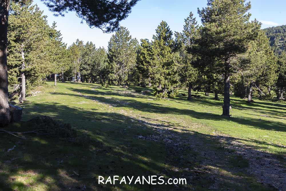 Ruta: Rasos de Baix (2058 m.) y Torre dels Enginyers (1988 m.) Ruta: Rasos de Baix (2058 m.) y Torre dels Enginyers (1988 m.)