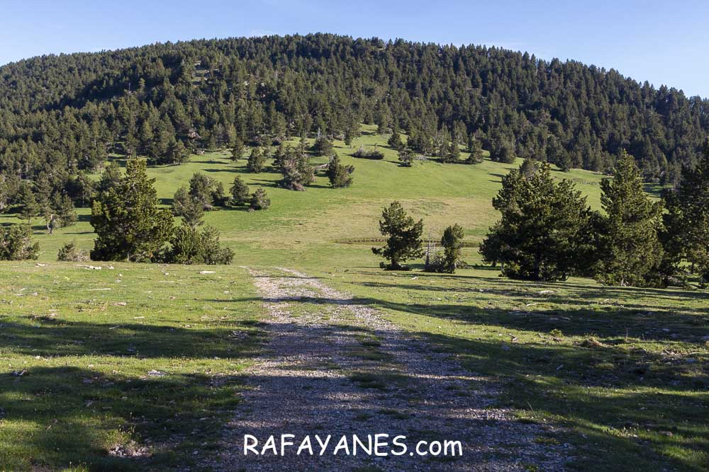 Ruta: Rasos de Baix (2058 m.) y Torre dels Enginyers (1988 m.) Ruta: Rasos de Baix (2058 m.) y Torre dels Enginyers (1988 m.)