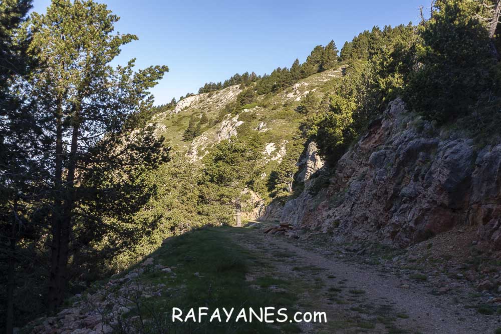 Ruta: Rasos de Baix (2058 m.) y Torre dels Enginyers (1988 m.) Ruta: Rasos de Baix (2058 m.) y Torre dels Enginyers (1988 m.)